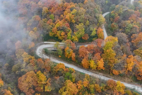 漢中龍頭山：云霧裹著秋景，像是在彩林間畫了層漸變。